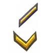 Service Stripes