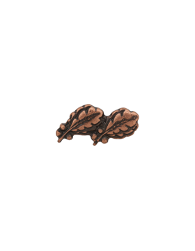 Oak Leaf Cluster 2 on a Bar Bronze Ribbon Device