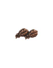 Pair of bronze leaf-shaped earrings on a white background