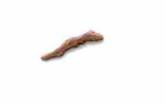 Bronze Palm Ribbon Device