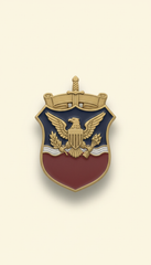 US Army Unit Crest Enamel Finish