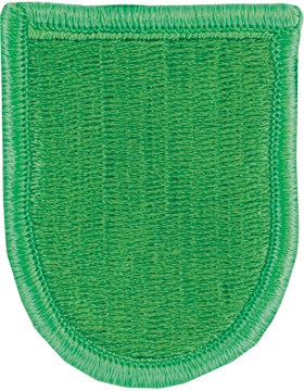 10th Special Forces Group Beret Flash