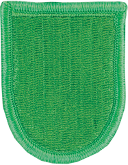 10th Special Forces Group Beret Flash