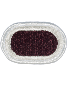 307th Medical Battalion Oval