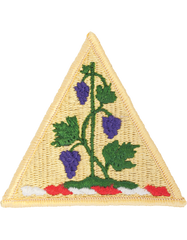 Connecticut National Guard Full Color Patch