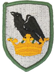 Washington National Guard Full Color Patch