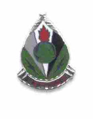 2nd Psychological Operations Unit Crest by Saunders Military Insignia