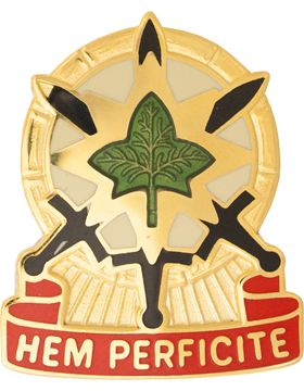 US Army 4th Sustainment Brigade Unit Crest