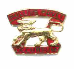 US Army 7th Air Defense Artillery Left Facing Unit Crest