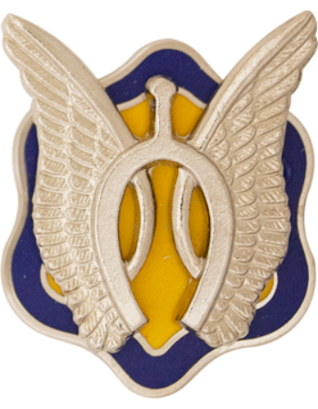 US Army 17th Cavalry Regiment Unit Crest