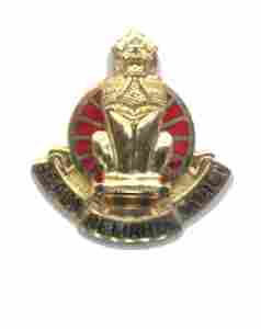 US Army 17th Support Battalion Unit Crest