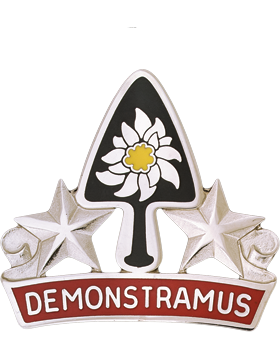 US Army 31st Engineer Battalion Unit Crest