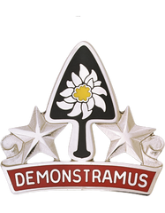 US Army 31st Engineer Battalion Unit Crest
