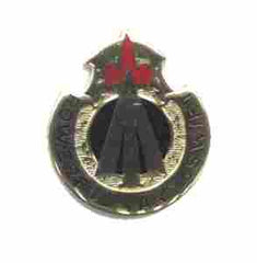 US Army 36th Artillery Group Unit Crest