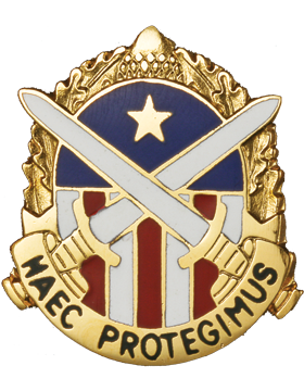 US Army Military District Washington Unit Crest