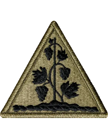 Connecticut National Guard OCP Patch with fastener