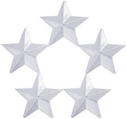 General 5 Star Silver metal rank insignia
