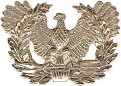 Army Warrant Officers Cap Device