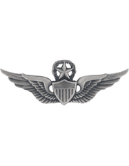 Master Aviator wing in silver OX finish