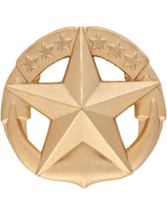 Command at Sea Navy Badge