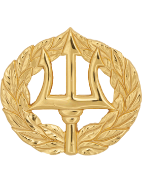 US Navy Command Ashore Badge