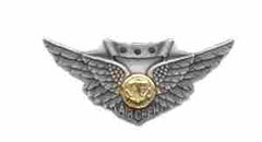 US Navy Combat Aircrew Miniature wing by Saunders Military Insignia