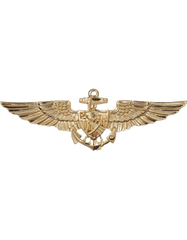 Astronant Flight Officer US Navy wing by Saunders Military Insignia