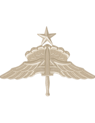 Senior HALO Free Fall Cap Device by Saunders Military Insignia