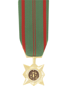Civil Action 1st Class Miniature Medal