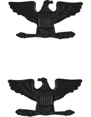Colonel (Pair) Subdued Metal subdued metal rank
