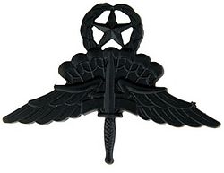 Army Senior HALO Free Fall badge in black metal by Saunders Military Insignia
