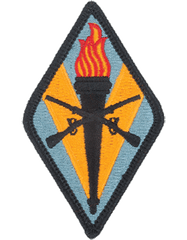 Training Center In Fort Jackson Full Color Patch by Saunders Military Insignia