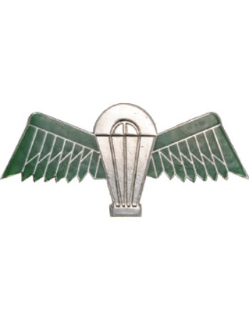 metal pin Insignia with green wings and a parachute on a silver metal background