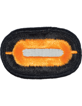 101st Airborne 1st Brigade Oval - Saunders Military Insignia