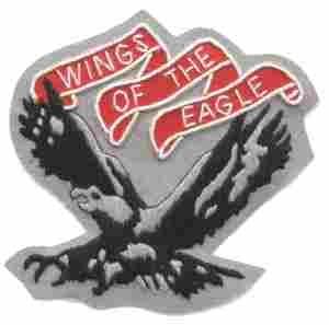101st Aviation Battalion Custom Patch