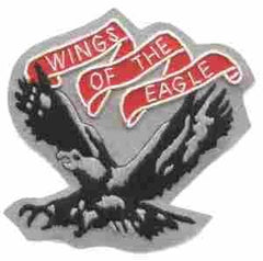 101st Aviation Battalion Patch - Saunders Military Insignia