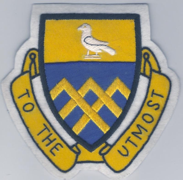 101st Cavalry Regiment Patch