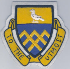 101st Cavalry Regiment Patch - Saunders Military Insignia