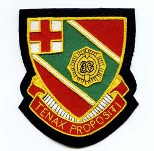 101st Engineer Battalion Custom made Cloth Patch - Saunders Military Insignia