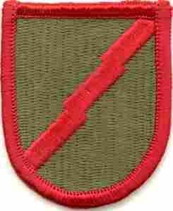 101st Military Intelligence Company D Flash