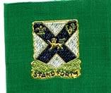 102nd Infantry Regiment, Patch