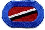 102nd Military Intelligence Company E Oval - Saunders Military Insignia