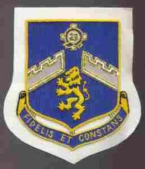 106th Infantry Regiment, Custom made Cloth Patch - Saunders Military Insignia