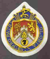 107th Infantry Regiment Custom made Cloth Patch - Saunders Military Insignia