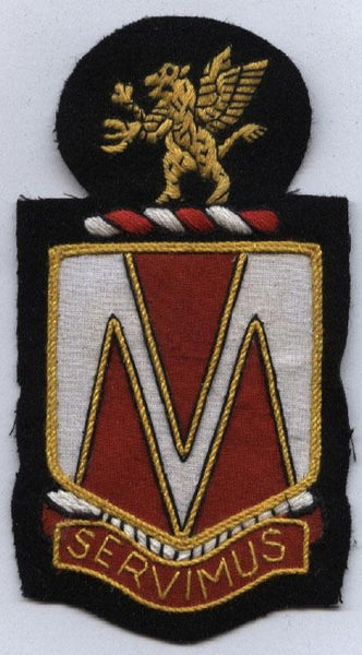 107th Medical Battalion Custom made Cloth Patch