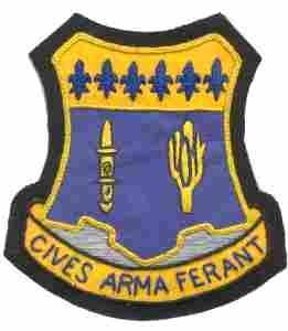 109th Infantry Regiment Custom made Cloth Patch