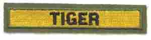 10th Armored Tiger Tab Tab