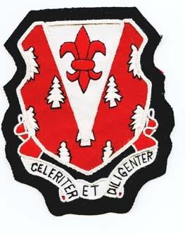 10th Engineer Regiment Custom made Cloth Patch