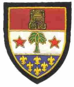 110th Infantry Regiment Custom made Cloth Patch - Saunders Military Insignia