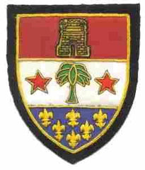 110th Infantry Regiment Custom made Cloth Patch - Saunders Military Insignia